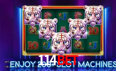 Cadastro rápido e seguro na 114bet